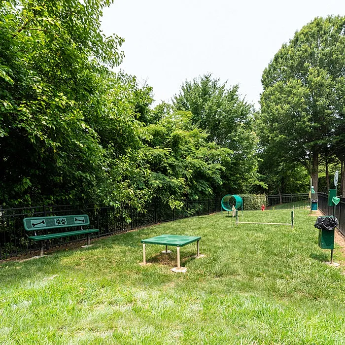 Charming and vibrant dog park surrounded by lush greenery, featuring agility equipment for playful pets.