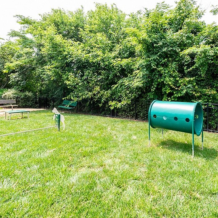 Charming outdoor dog park featuring agility equipment and lush greenery, perfect for pet-friendly living.