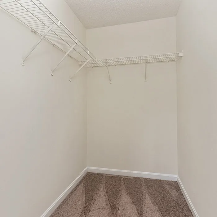 Bright and spacious walk-in closet with plush carpeting and ample shelving, perfect for organized living.
