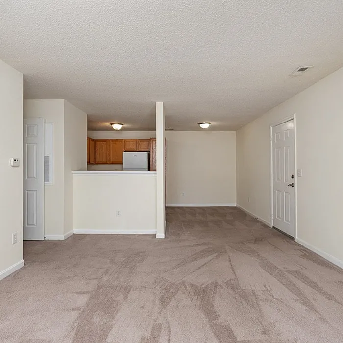 Bright open-concept living area with plush carpet and adjacent kitchen, ideal for modern living.