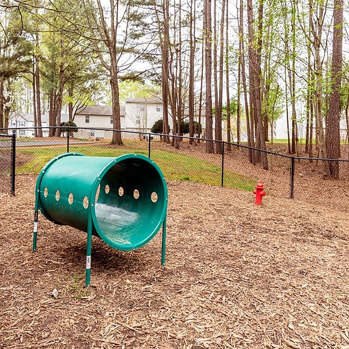 Inviting dog park with vibrant agility tunnel set in a serene wooded area, perfect for active pets.