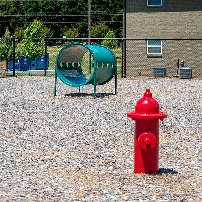 Vibrant and pet-friendly apartment playground featuring a bold red fire hydrant and a playful green tunnel, perfect for outdoor activities.