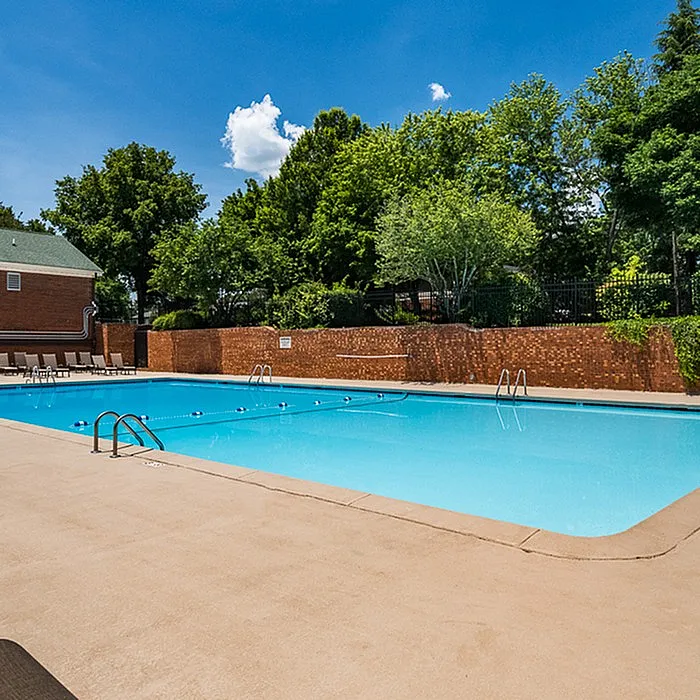 Inviting outdoor swimming pool surrounded by lush greenery and comfortable lounge chairs under a sunny blue sky.