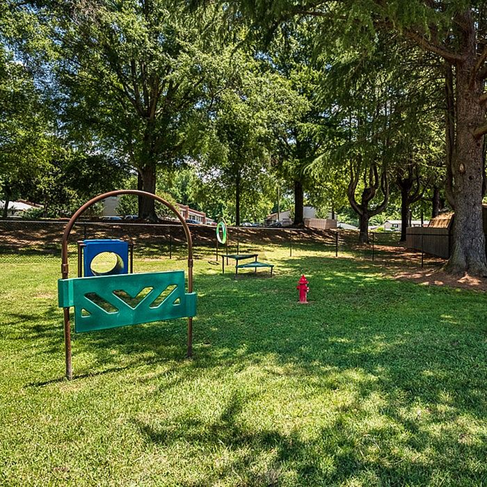 Charming outdoor play area set in a lush, sunlit park with vibrant playground equipment and towering trees.