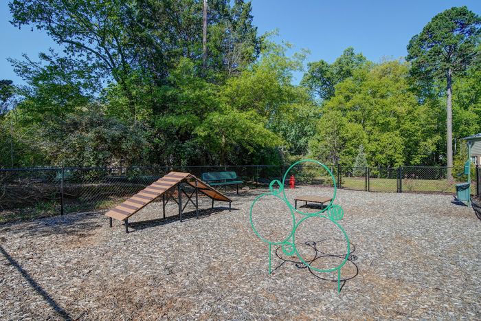 Inviting dog park featuring agility course equipment set amid lush greenery for a vibrant outdoor experience.