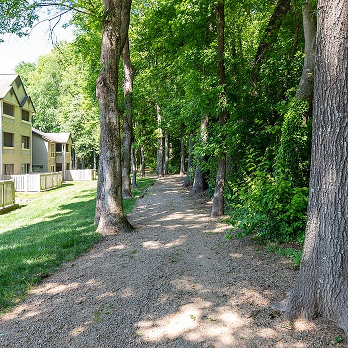 Scenic apartment view with lush green trees along a tranquil walking path, perfect for nature lovers.