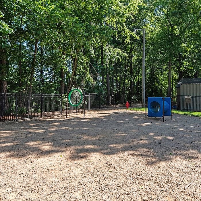 Inviting outdoor dog park set amidst lush greenery, featuring playful tunnels and exercise hoops for pet-friendly fun.