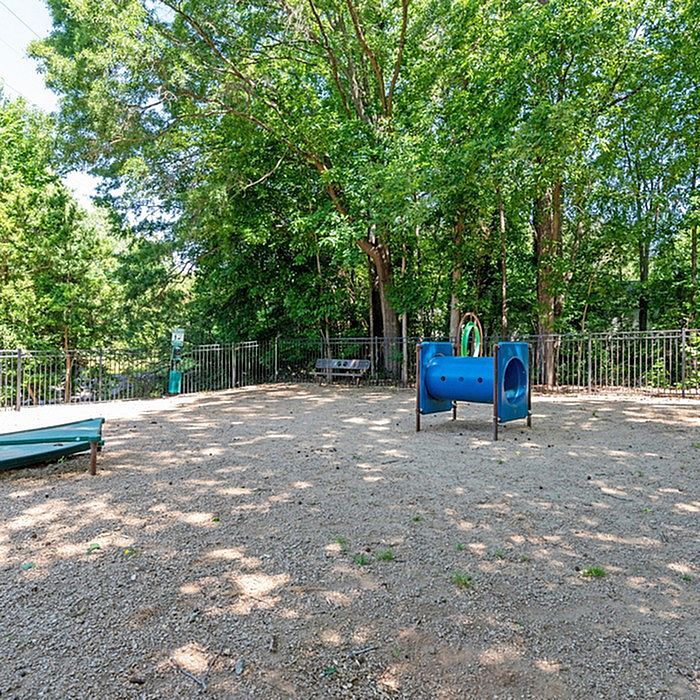 Charming outdoor playground surrounded by lush greenery, featuring a vibrant blue play tunnel and inviting seating area.