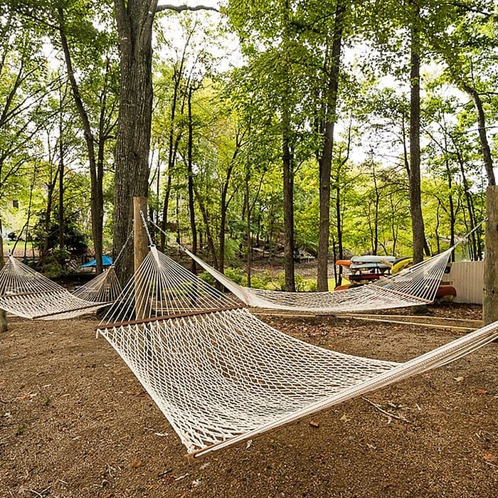 Serene outdoor space with multiple hammocks strung between trees, perfect for relaxation in a peaceful woodland setting.
