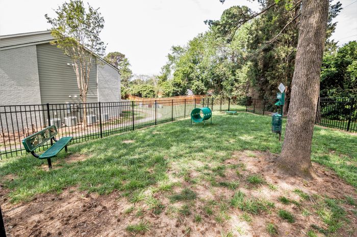 Charming fenced outdoor space with lush grass, perfect for relaxation and play, featuring a cozy bench and playful green tunnel.