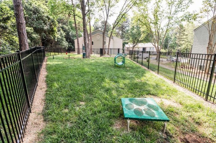 Serene outdoor dog park with multiple hammocks strung between trees, perfect for relaxation in a peaceful woodland setting.