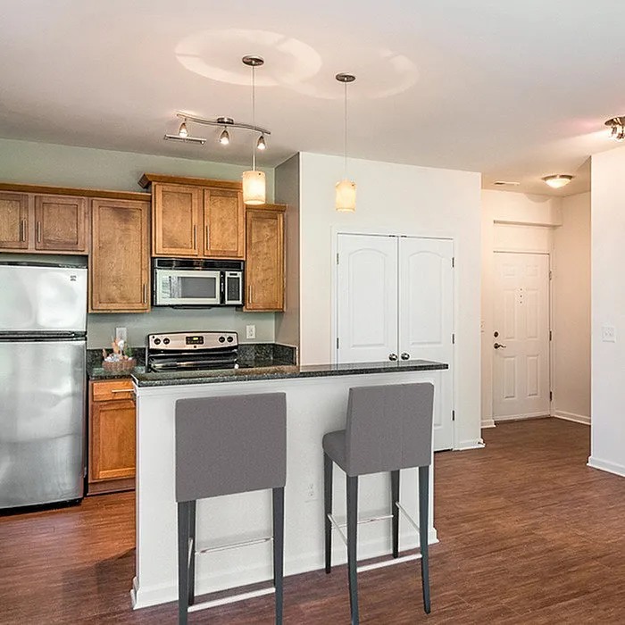 Modern kitchen with sleek granite countertops, wooden cabinetry, and stainless steel appliances, complemented by stylish bar seating.
