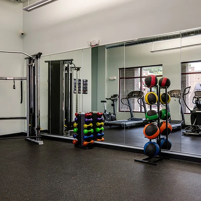 Modern fitness center with state-of-the-art equipment, vibrant medicine balls, and an array of colorful dumbbells, offering a dynamic workout space.
