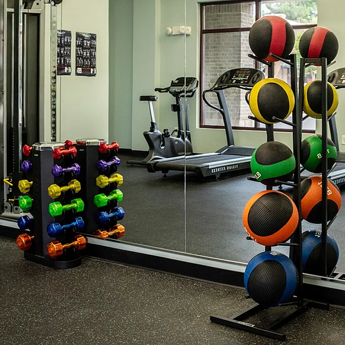 Vibrant gym space with colorful dumbbells, medicine balls, and modern exercise equipment for an energetic workout atmosphere.