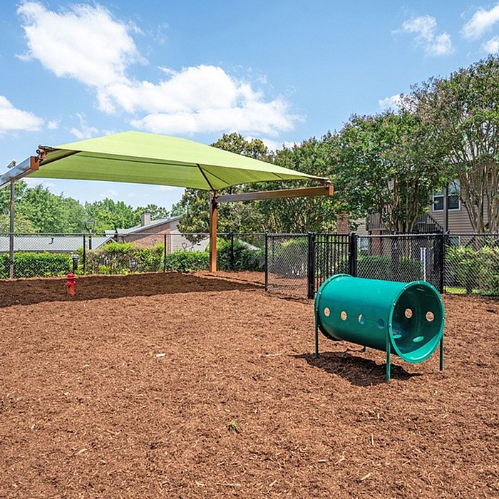 Charming outdoor dog park with a vibrant green shade, playful tunnel, and lush greenery, perfect for pet-friendly living.