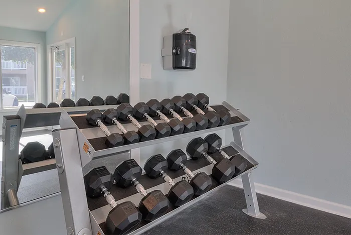 Bright and modern gym with sleek dumbbell rack, offering a perfect space for fitness enthusiasts.