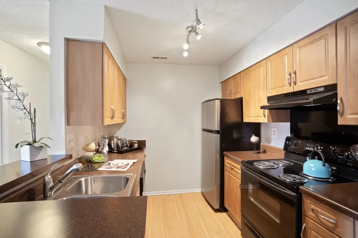 Modern kitchen with sleek wooden cabinets, stainless steel appliances, and elegant lighting, perfect for culinary adventures.