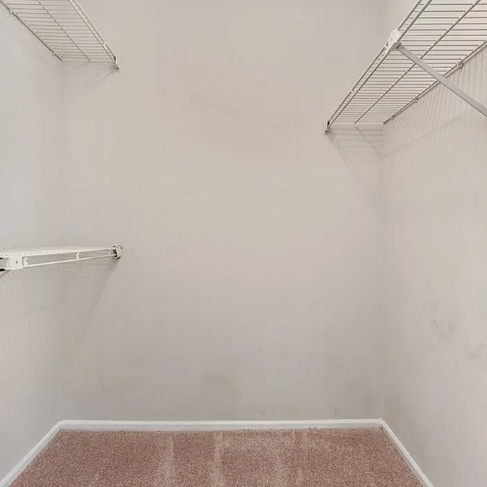 Spacious walk-in closet with ample shelving and plush carpeting, perfect for organizing and storing belongings.