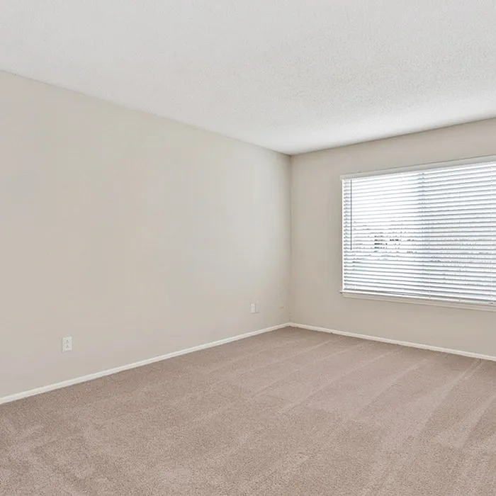 Bright and airy bedroom with soft carpet flooring, large window, and neutral walls, perfect for personal touch and comfort.