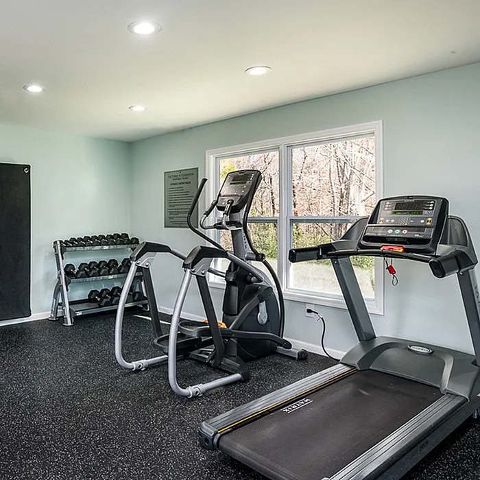 Bright and modern home gym featuring state-of-the-art treadmill, elliptical, and free weights, perfect for fitness enthusiasts.