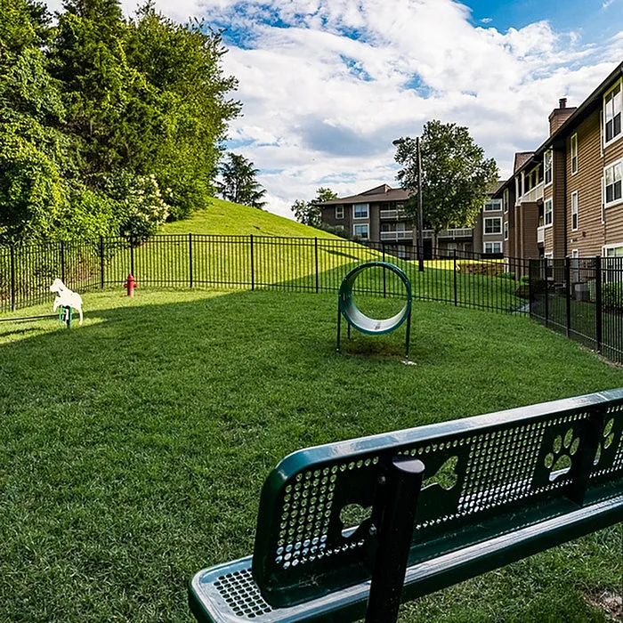 Inviting fenced dog park in apartment community with lush green grass, play tunnel, and decorative bench under a vibrant blue sky.