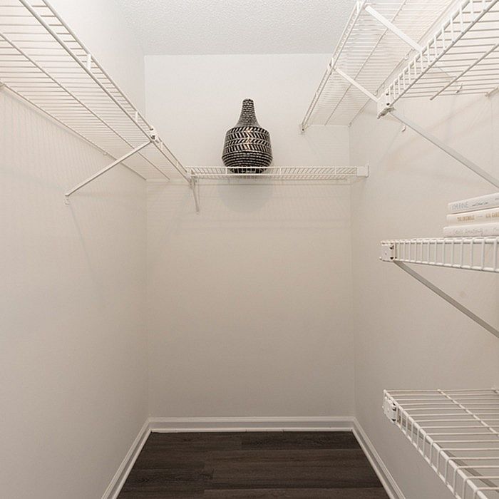 Spacious and well-lit walk-in closet with sleek wire shelving and stylish decor accent.
