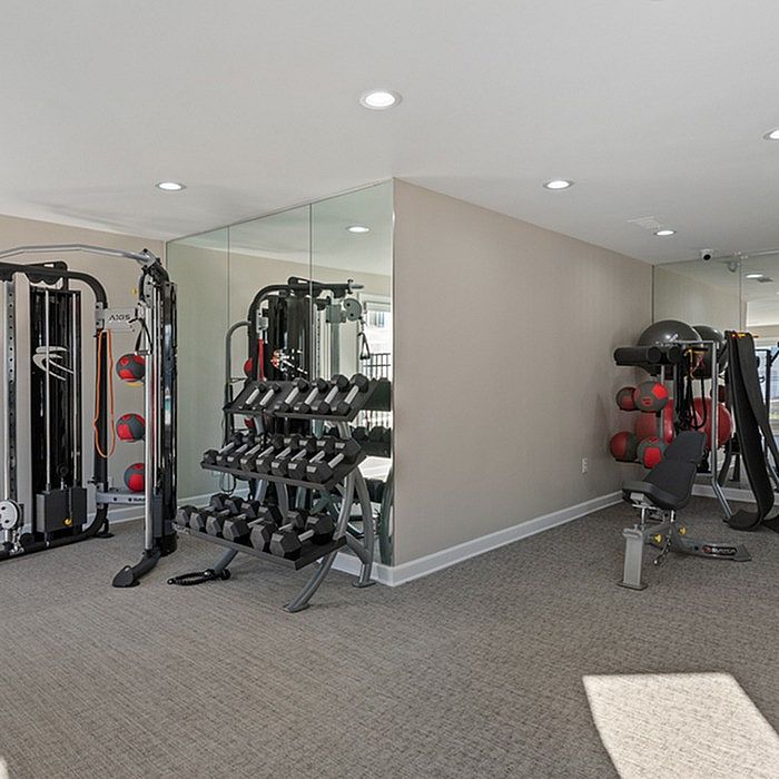 Modern fitness center with versatile gym equipment, mirrored walls, and ample lighting perfect for wellness enthusiasts.