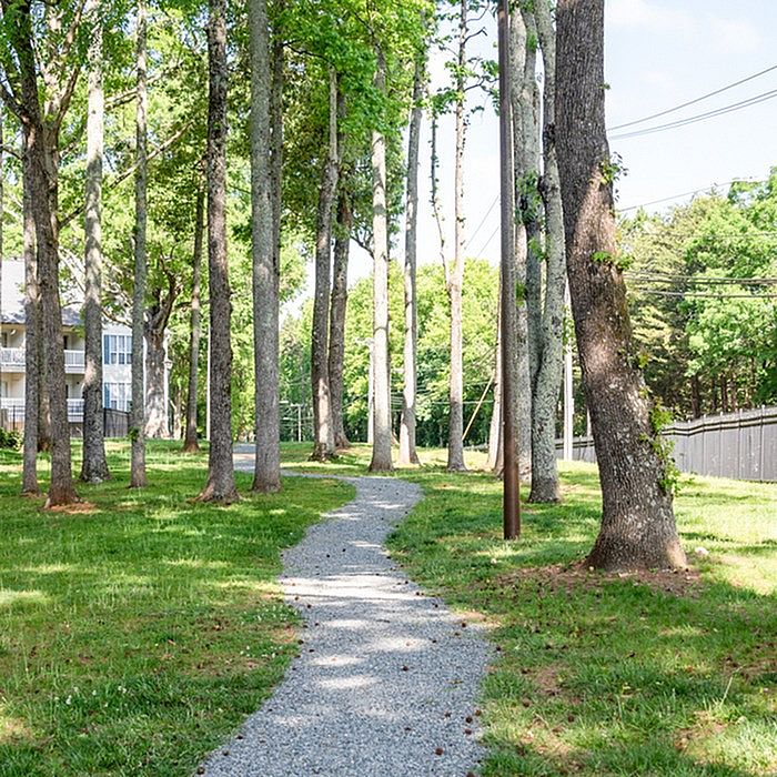 Serene apartment pathway surrounded by lush greenery and tall trees, offering a peaceful and natural living environment.