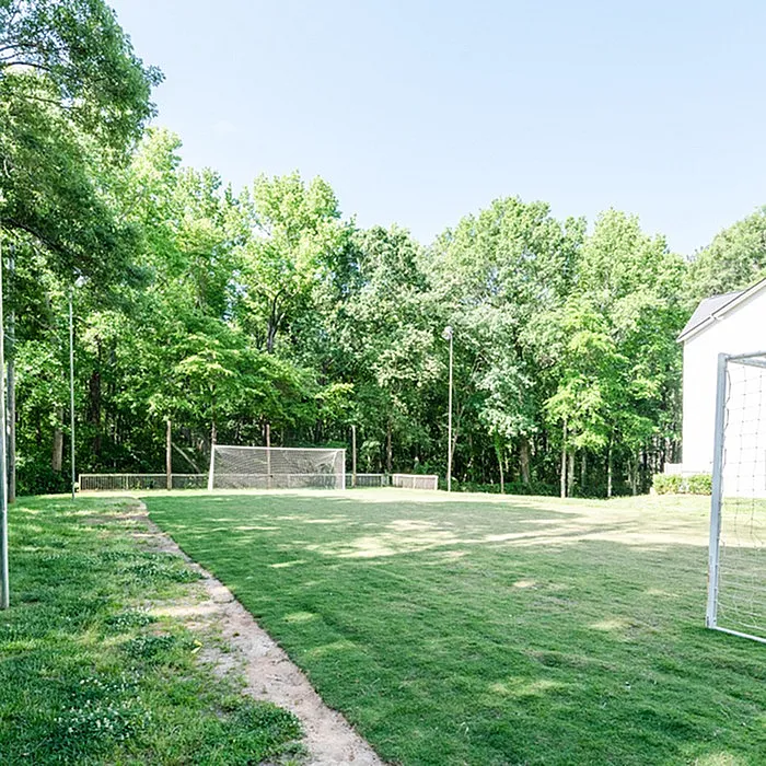 Charming green outdoor soccer field surrounded by lush trees, perfect for recreational activities in a serene setting.