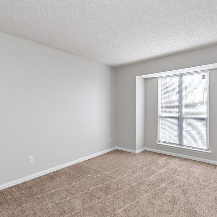 Bright and inviting empty room with plush carpet and a large window, perfect for transforming into a cozy bedroom or office space.