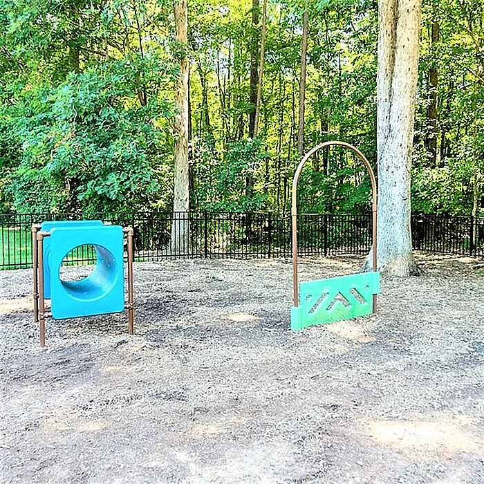 Charming pet-friendly play area in a serene wooded setting, complete with engaging agility obstacles perfect for your furry friend's enjoyment.