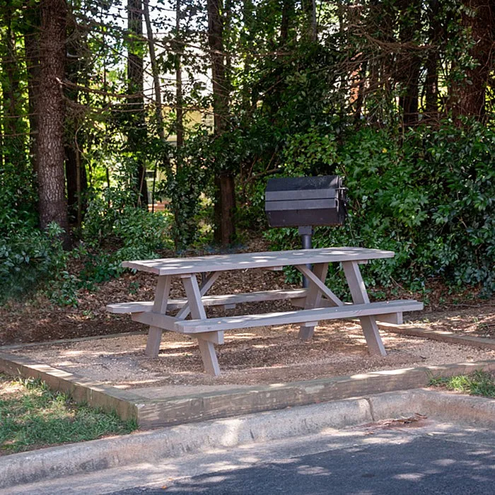 Inviting outdoor picnic space with a wooden bench and grill nestled in a serene wooded area, perfect for entertaining.