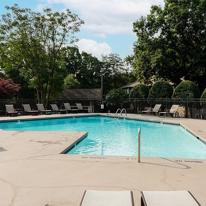 Inviting outdoor pool surrounded by lush greenery and comfortable lounge chairs, perfect for relaxation and leisure.