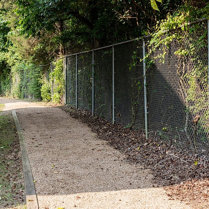 Charming pathway with lush greenery and a chain-link fence, perfect for leisurely strolls and outdoor relaxation.