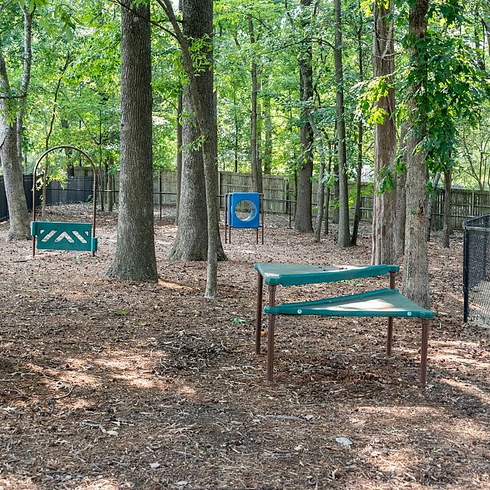Inviting outdoor play area nestled in a lush forest setting, featuring modern playground equipment and spacious, natural surroundings.