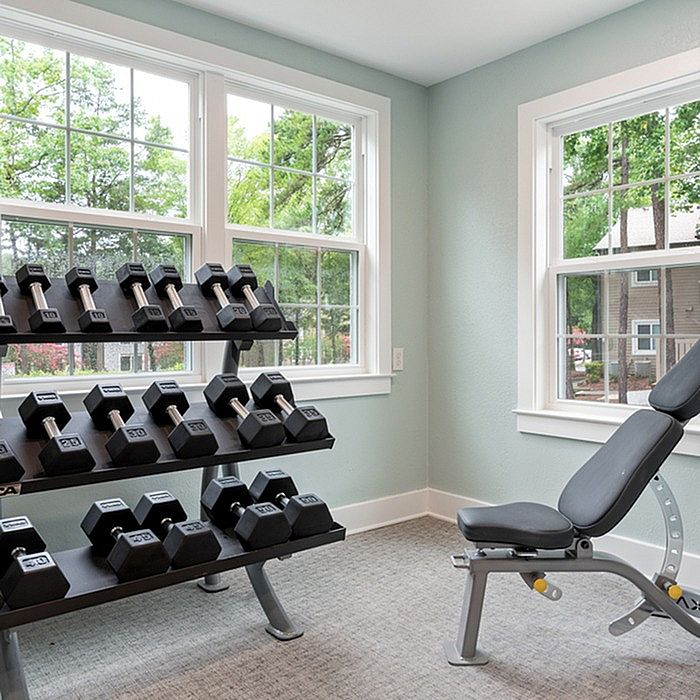 Bright home gym with a set of dumbbells and an adjustable bench, surrounded by large windows overlooking lush greenery.