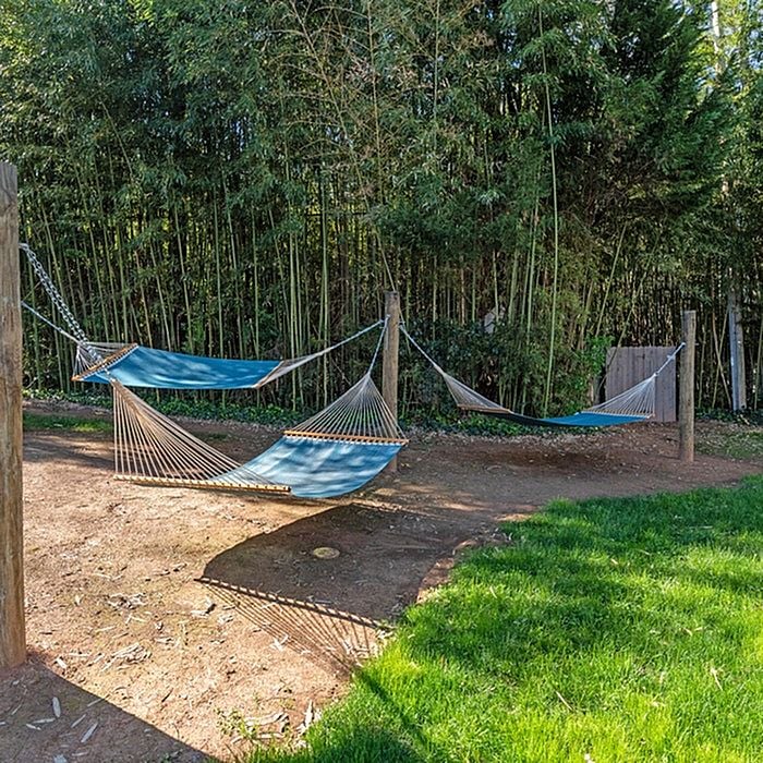 Serene backyard with two inviting hammocks surrounded by lush greenery and bamboo trees.