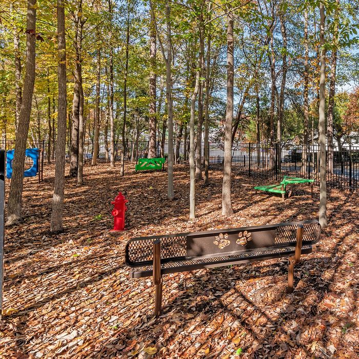Charming dog park surrounded by trees, featuring a cozy bench with paw prints and playful agility equipment.