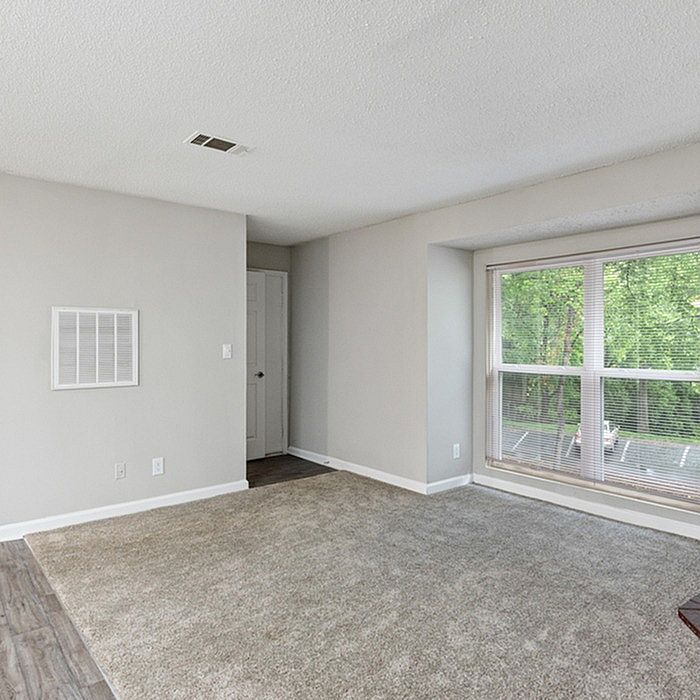 Bright apartment room with soft carpet flooring, large window for natural light, and calming forest view.