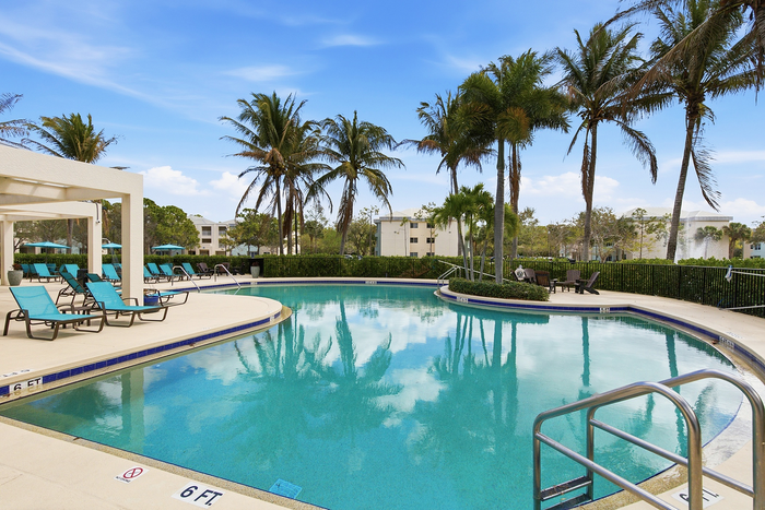 Luxurious pool area with palm trees and comfortable sun loungers, perfect for relaxation and leisure.