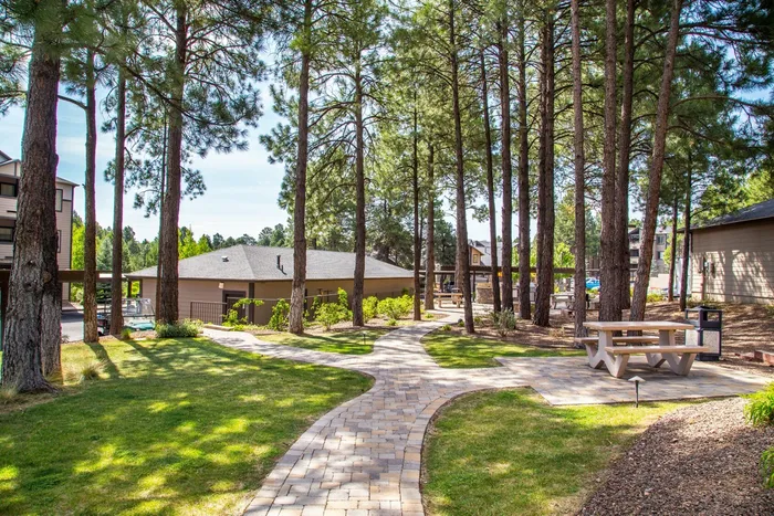 The Lodge
