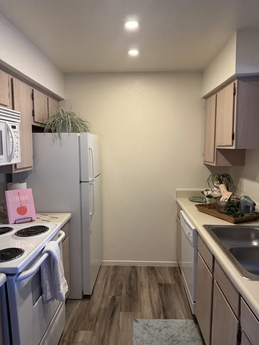 Model Unit