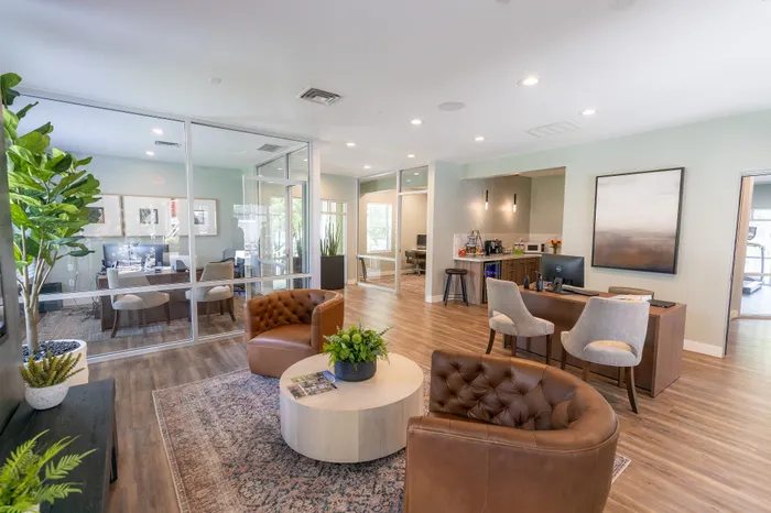 Contemporary open-plan office with elegant leather chairs, modern decor, abundant natural light, and stylish wooden flooring.