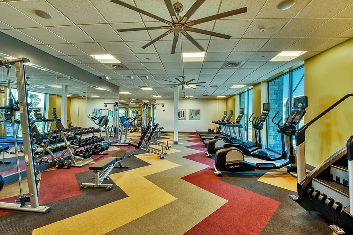 Modern fitness center with a range of exercise machines, free weights, and vibrant flooring, illuminated by natural light through large windows.