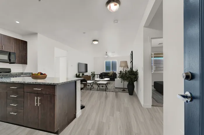 Inviting open-concept apartment boasting a modern kitchen with granite countertops, cozy living area, and elegant wooden flooring.