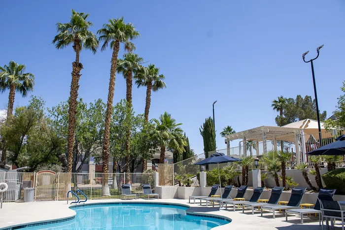 Inviting outdoor pool area with luxurious lounge chairs and palm trees against a clear blue sky, perfect for relaxation and leisure.