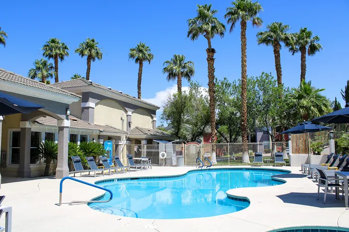 Elegant outdoor pool area surrounded by lush palm trees and sun loungers, perfect for relaxation in a sunny setting.