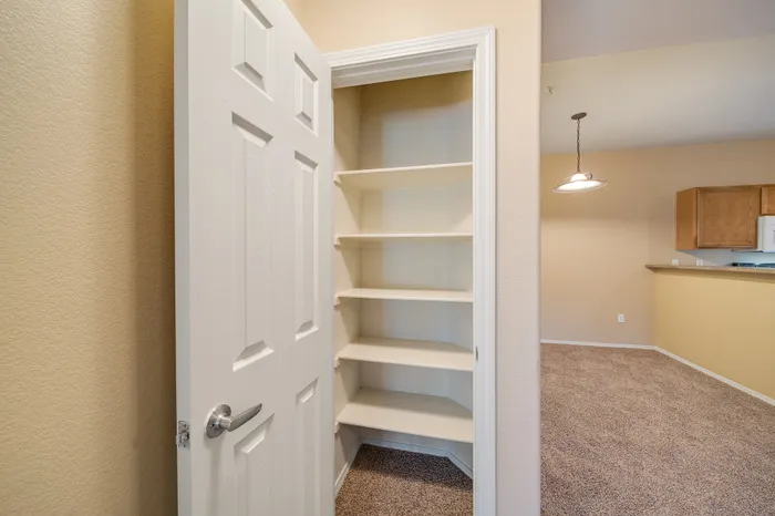 Charming pantry closet with ample shelving adjacent to an inviting open kitchen-dining area in a cozy apartment.