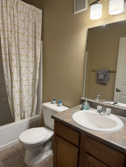 Inviting bathroom with elegant fixtures, stylish vanity, and patterned shower curtain in a modern apartment.