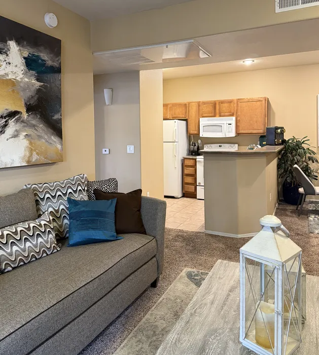 Cozy living room with modern decor, plush grey sofa, colorful cushions, and an open kitchen equipped with wooden cabinets and white appliances.